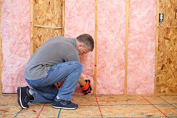 Best Energy Efficiency Solutions in College Park, GA