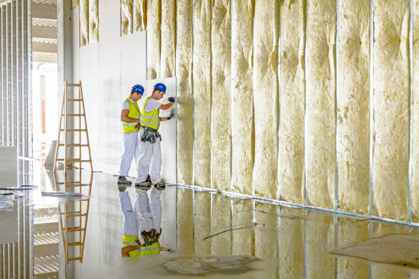Best Residential Insulation in College Park, GA